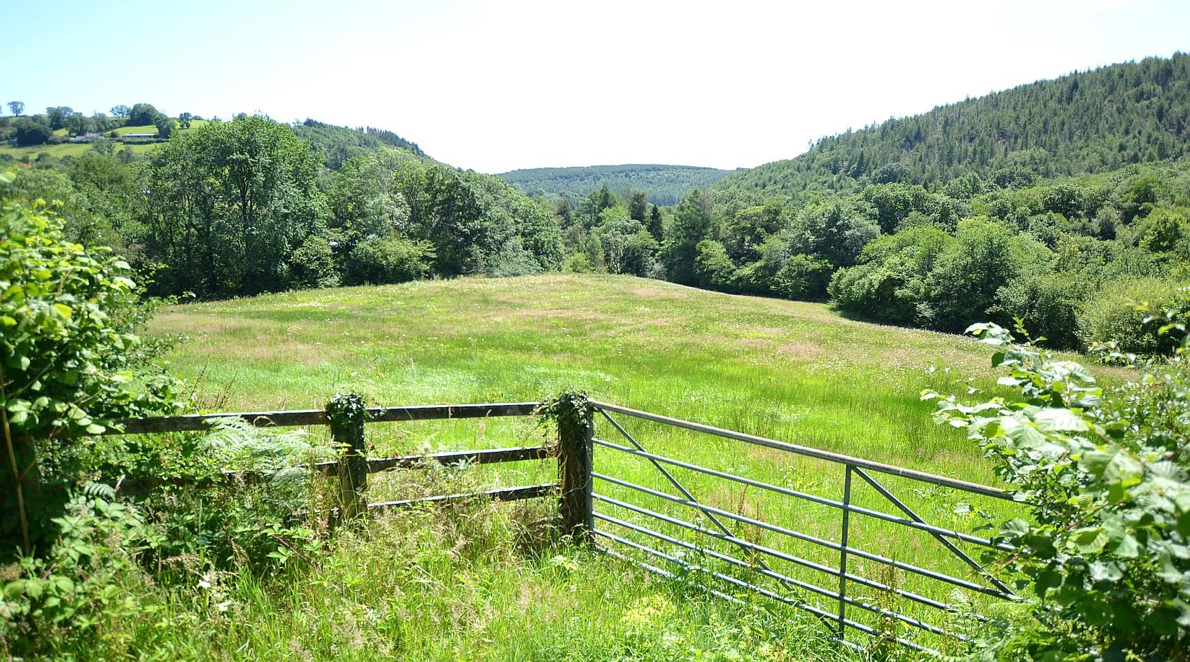 Gwernogle CARMARTHENSHIRE
