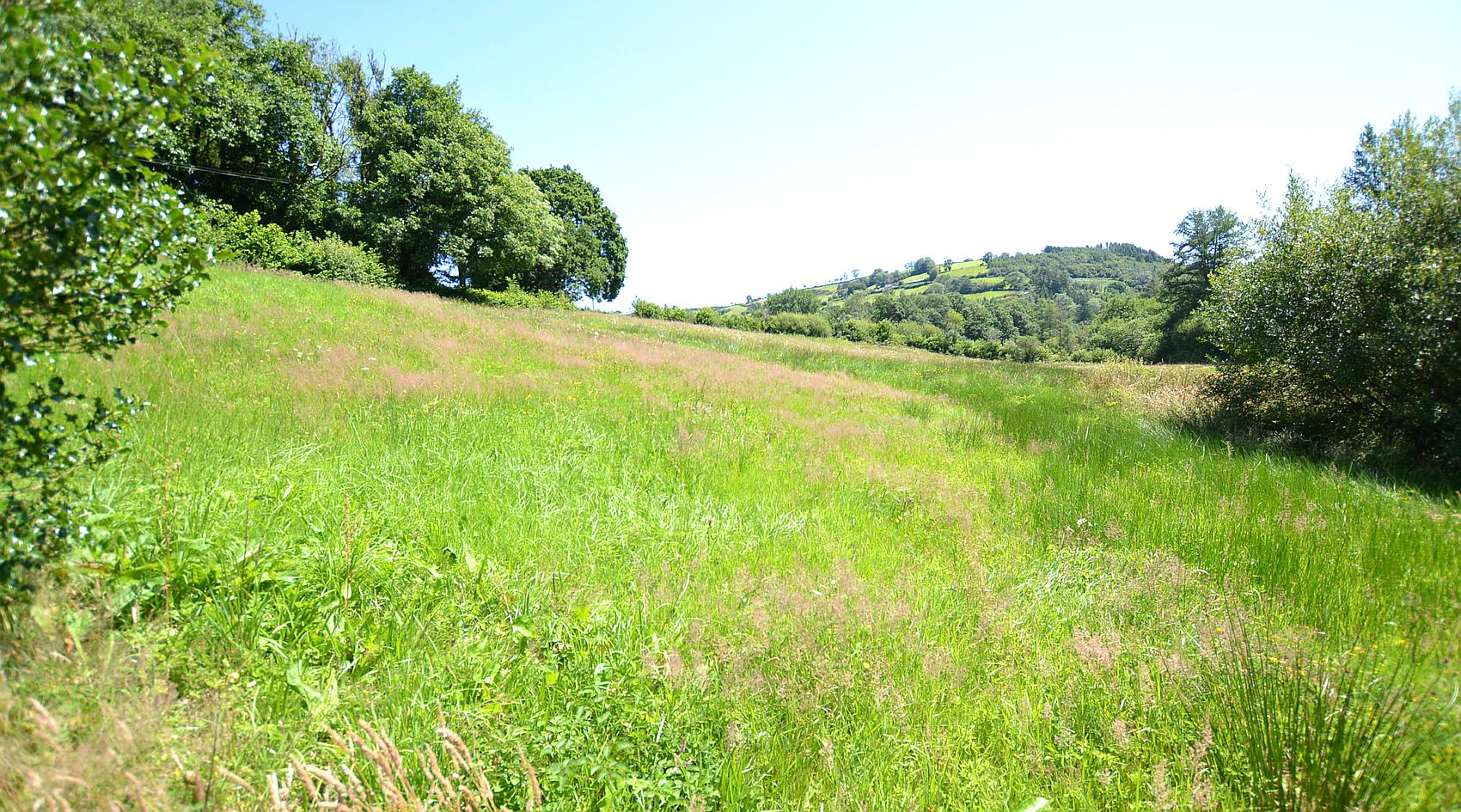 Gwernogle CARMARTHENSHIRE