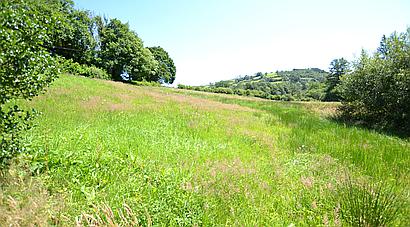 Gwernogle CARMARTHENSHIRE