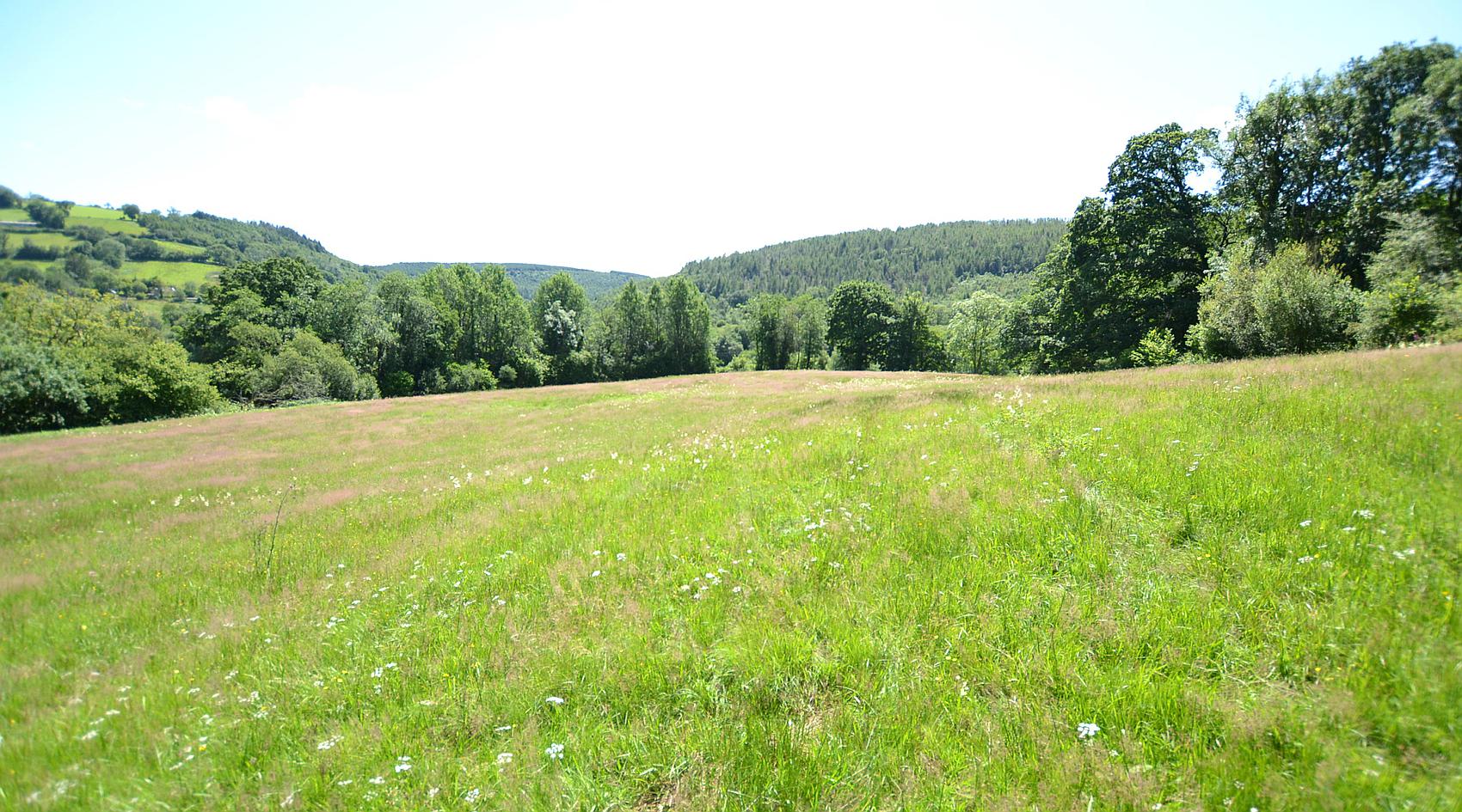 Gwernogle CARMARTHENSHIRE