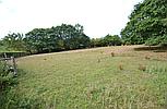 Lower Maescoed HEREFORDSHIRE