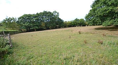 Lower Maescoed HEREFORDSHIRE
