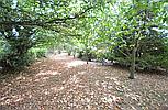 Lower Maescoed HEREFORDSHIRE
