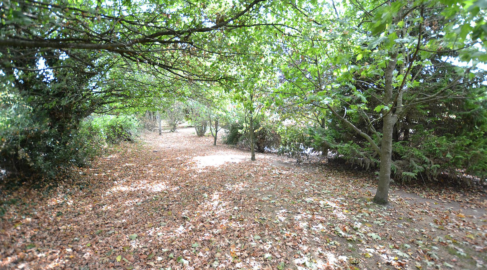 Lower Maescoed HEREFORDSHIRE
