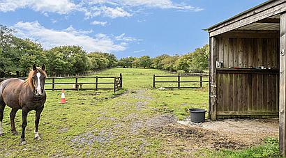 Foelgastell CARMARTHENSHIRE