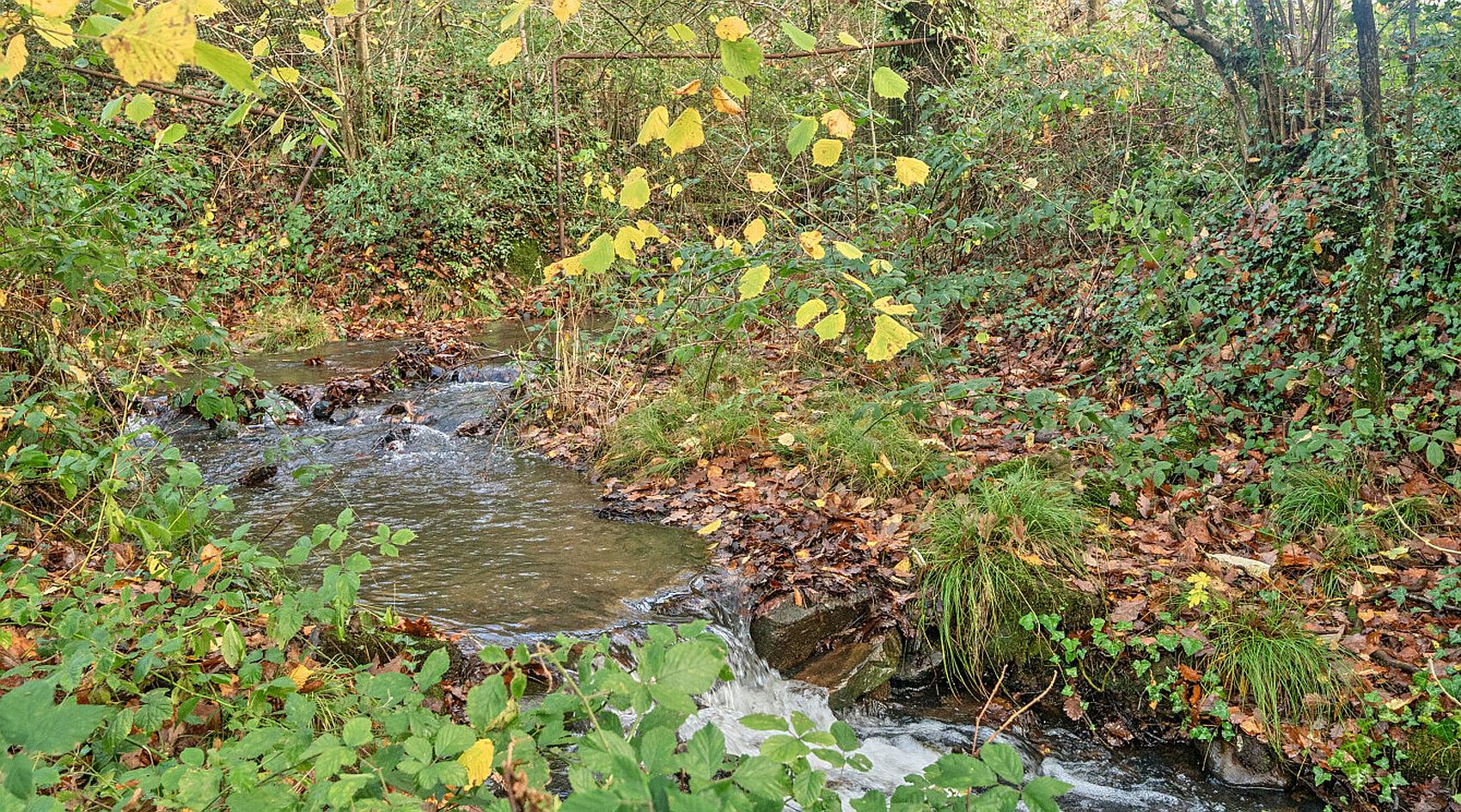 Aberdare RHONDDA CYNON TAF