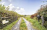 Meinciau CARMARTHENSHIRE