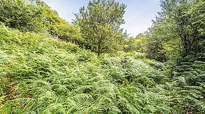 Gwernogle CARMARTHENSHIRE