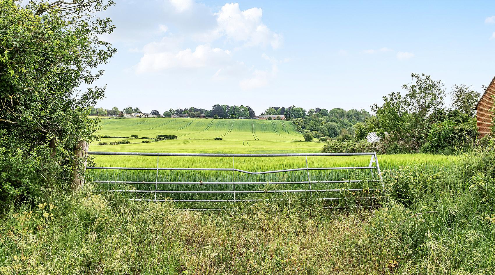 Haxton WILTSHIRE