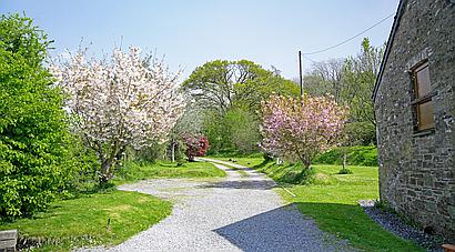 Llanybri CARMARTHENSHIRE