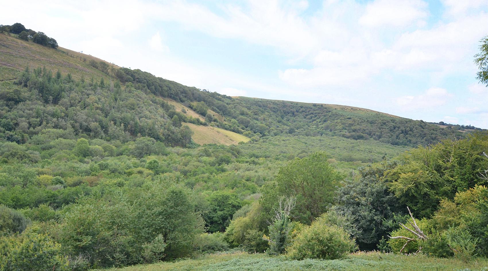 Cwmdu CARMARTHENSHIRE