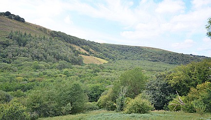 Cwmdu CARMARTHENSHIRE