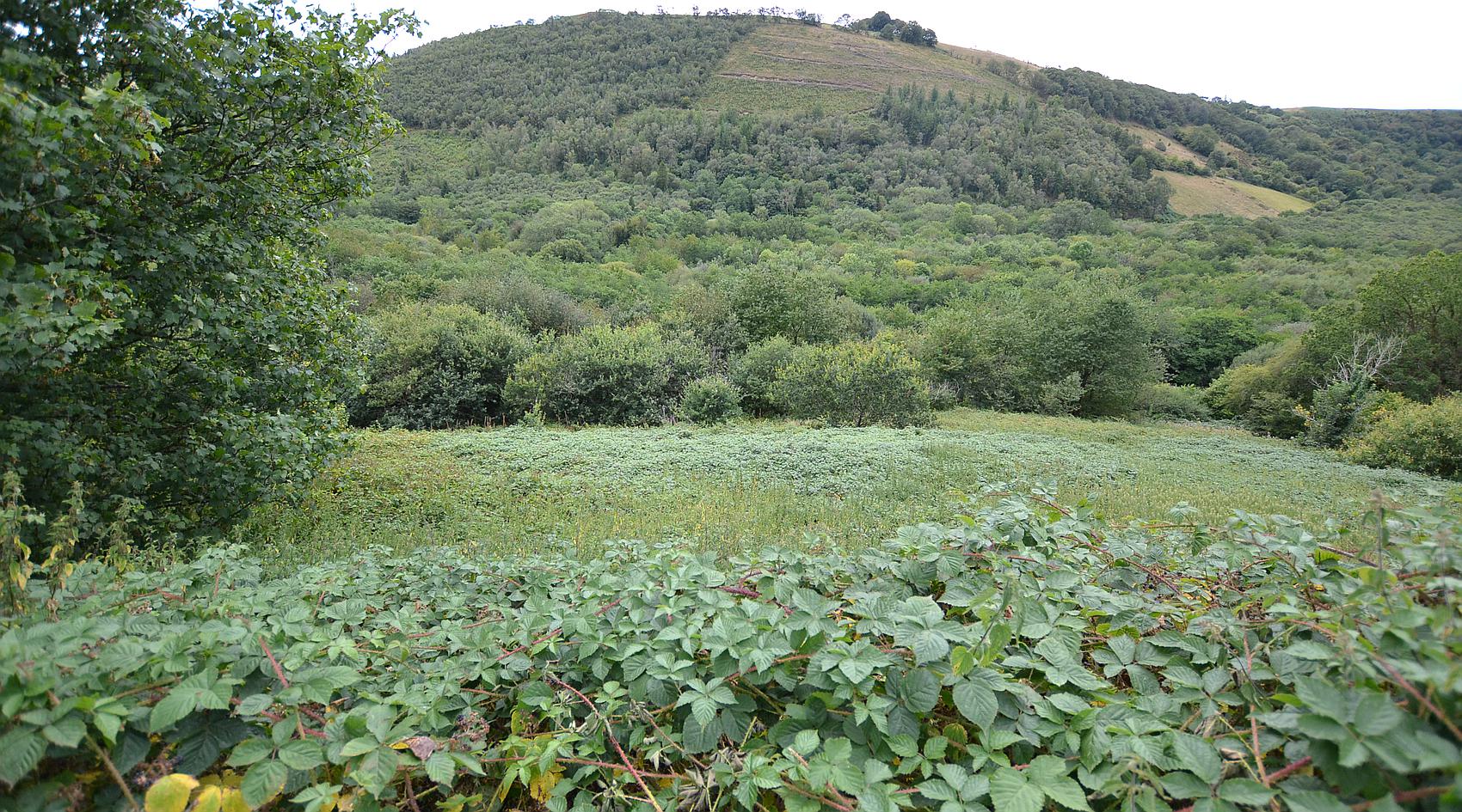 Cwmdu CARMARTHENSHIRE