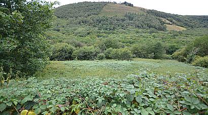 Cwmdu CARMARTHENSHIRE