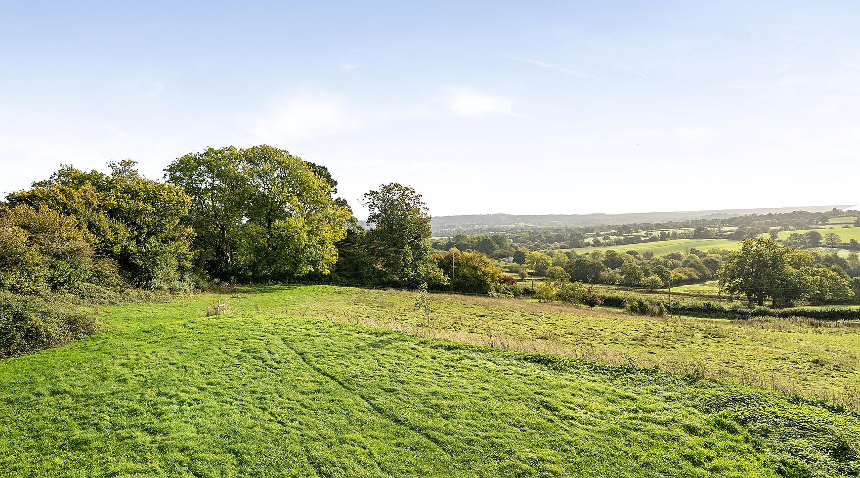Wadeford SOMERSET