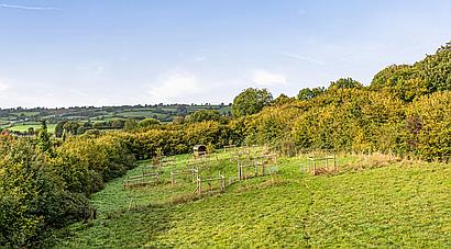 Wadeford SOMERSET