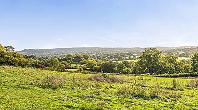 Wadeford SOMERSET