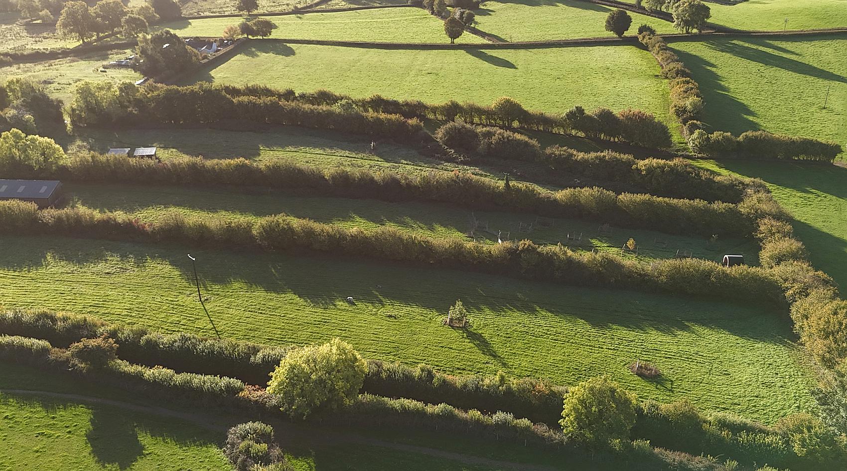 Wadeford SOMERSET