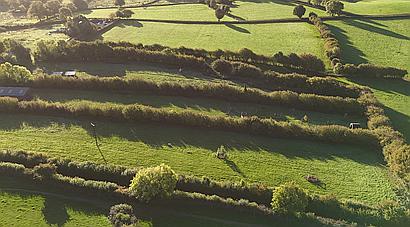 Wadeford SOMERSET