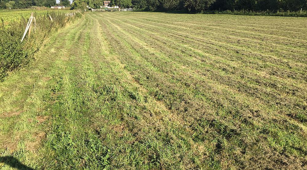 Property for Sale Wisbech CAMBRIDGESHIRE Rural Scene