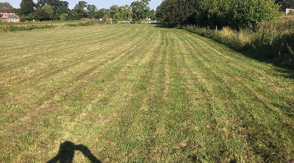 Property for Sale Wisbech CAMBRIDGESHIRE Rural Scene