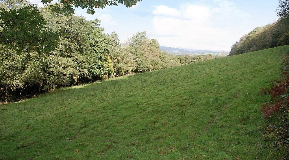 Property for Sale Talley, Llandeilo CARMARTHENSHIRE Rural Scene