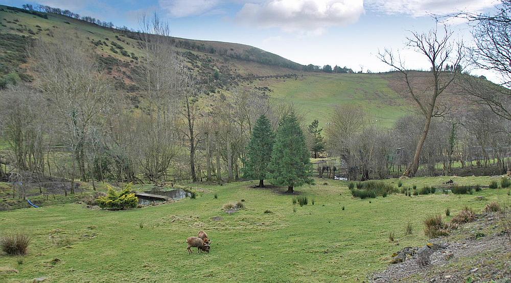 Property for Sale Montgomery SHROPSHIRE Rural Scene