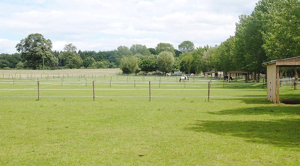 Property for Sale Sherborne DORSET Rural Scene