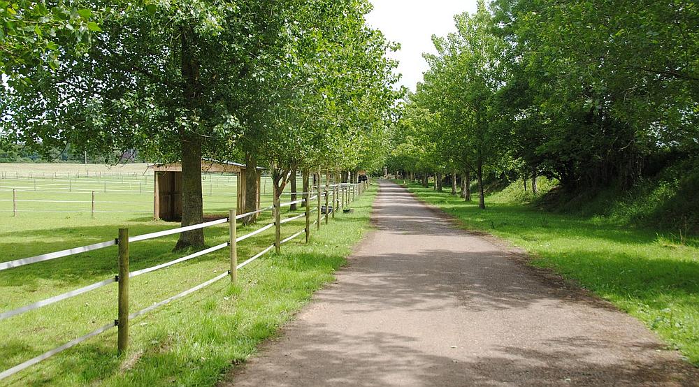 Property for Sale Sherborne DORSET Rural Scene