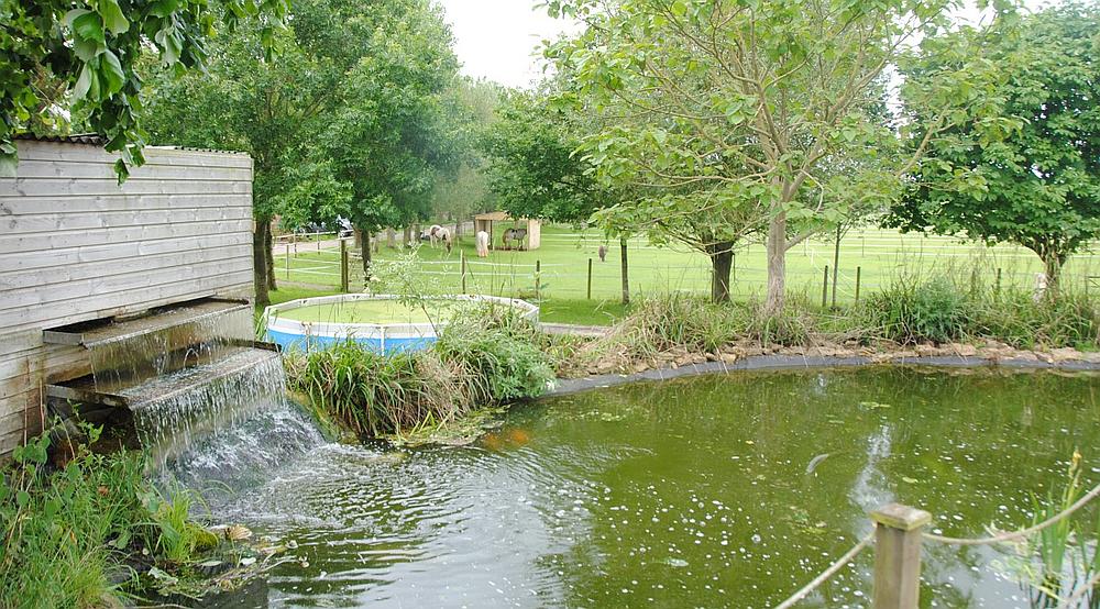 Property for Sale Sherborne DORSET Rural Scene