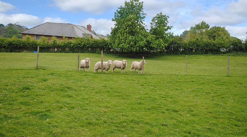 Property for Sale Cuckfield WEST SUSSEX Rural Scene