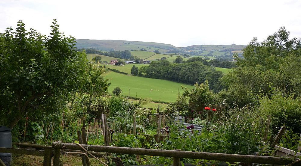 Property for Sale Newtown POWYS Rural Scene