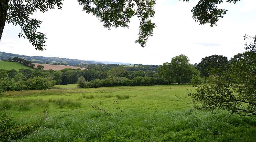 Property for Sale Newtown POWYS Rural Scene
