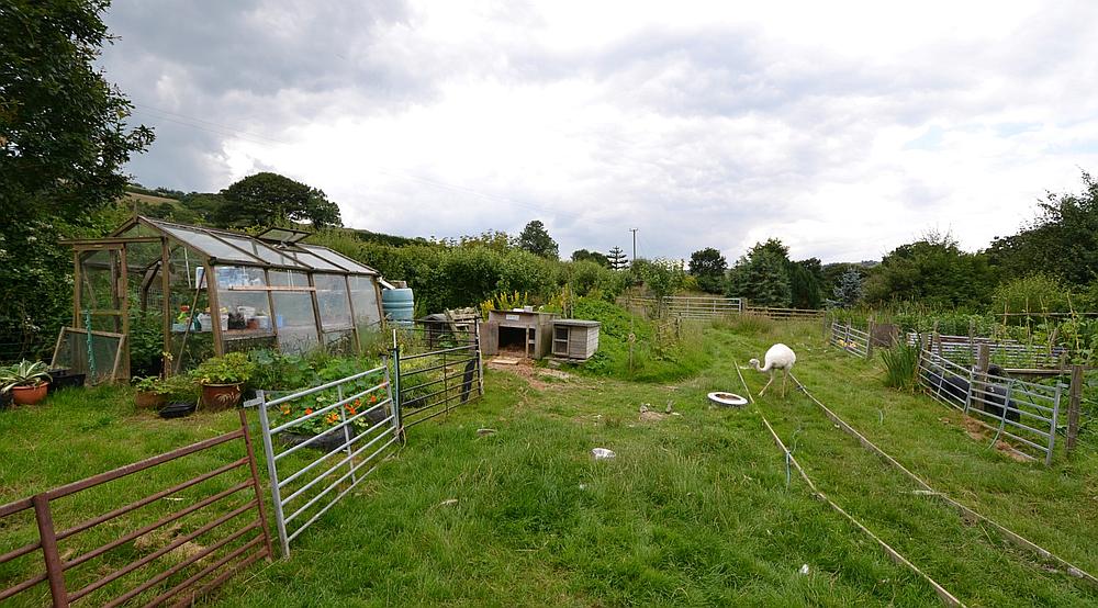 Property for Sale Newtown POWYS Rural Scene