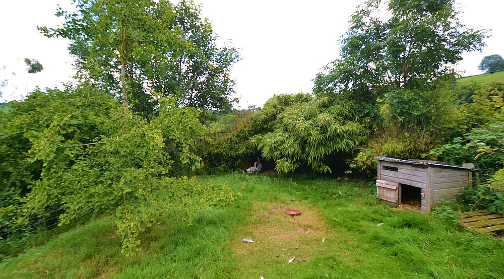 Property for Sale Newtown POWYS Rural Scene