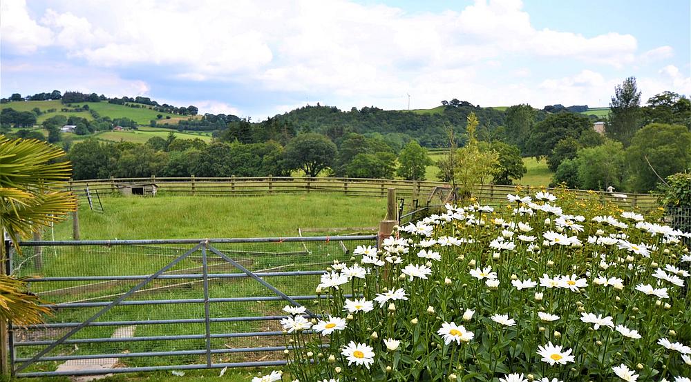 Property for Sale Newtown POWYS Rural Scene