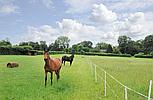 Maidenhead, BERKSHIRE
