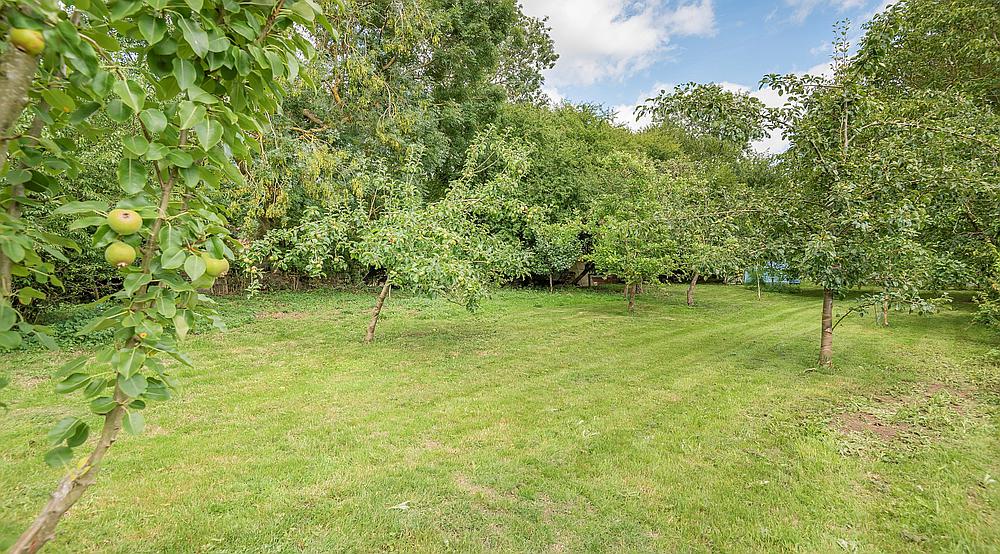 Property for Sale Shillingford OXFORDSHIRE Rural Scene