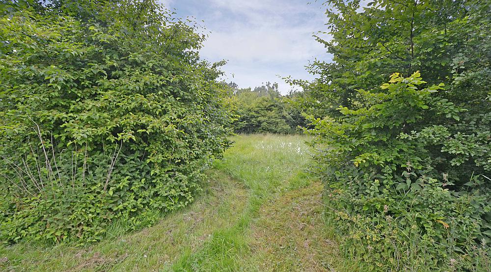 Property for Sale Shillingford OXFORDSHIRE Rural Scene