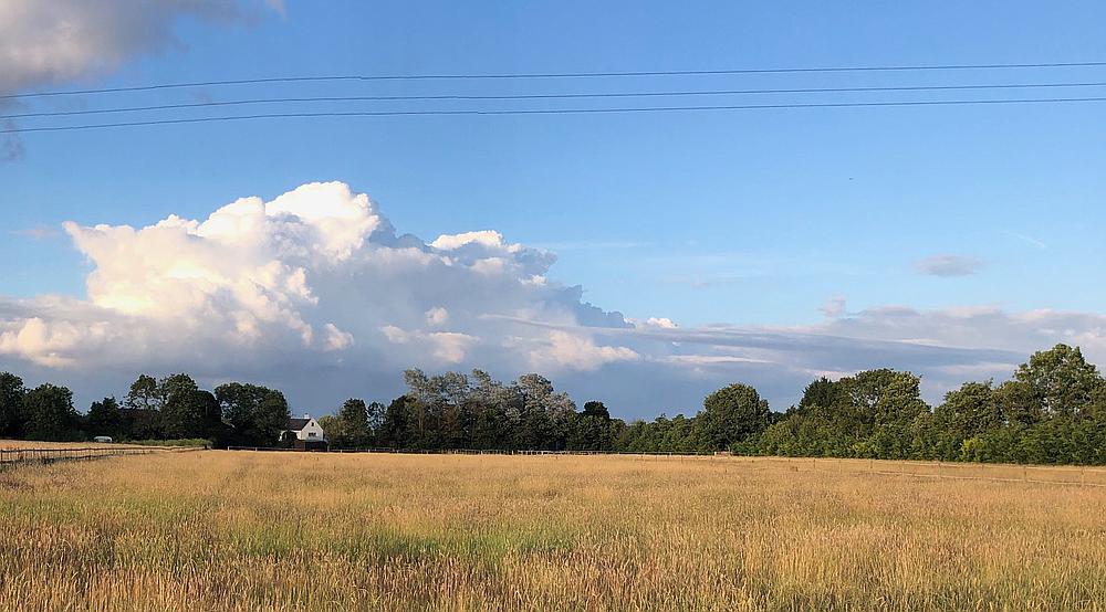 Property for Sale Dauntsey WILTSHIRE Rural Scene