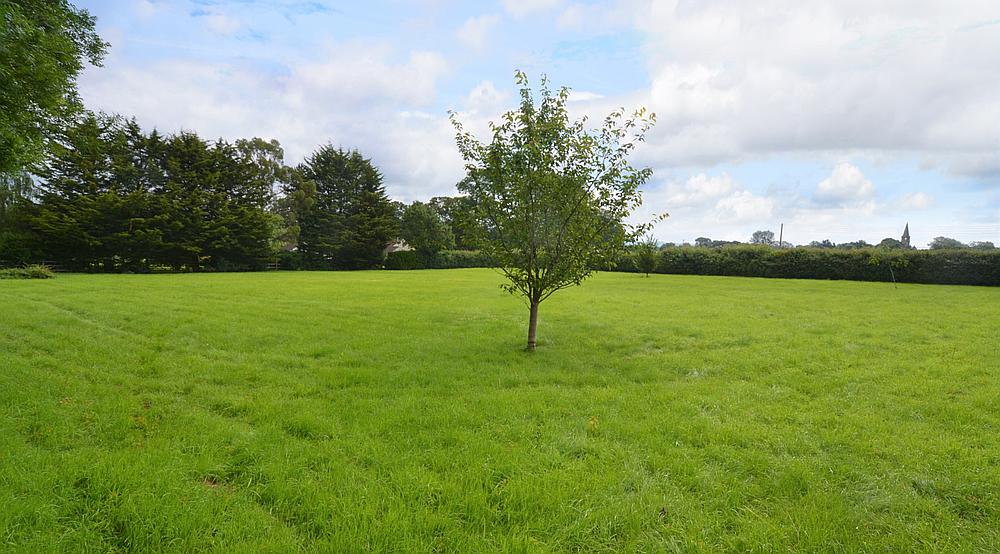 Property for Sale Somerton SOMERSET Rural Scene