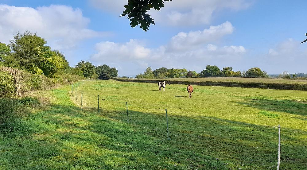 Property for Sale Newnham on Severn GLOUCESTERSHIRE Rural Scene