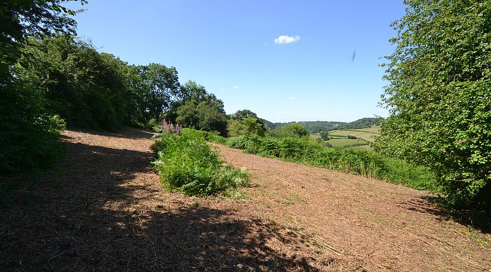 Property for Sale Clearwell GLOUCESTERSHIRE Rural Scene