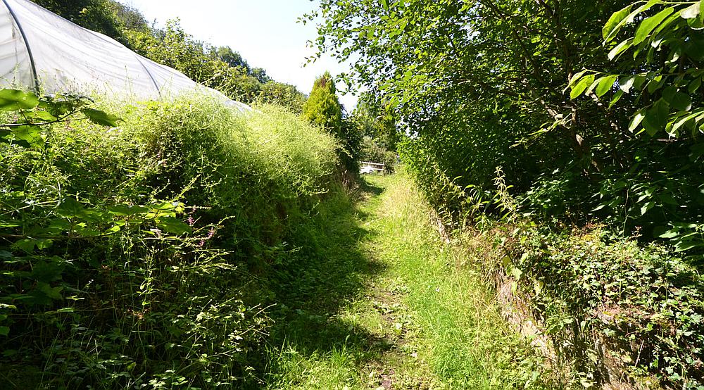 Property for Sale Clearwell GLOUCESTERSHIRE Rural Scene