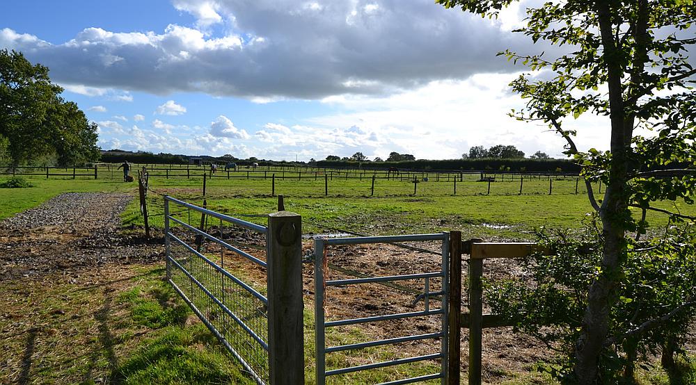 Property for Sale Purton Stoke WILTSHIRE Rural Scene