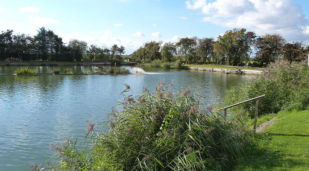 Property for Sale West Pinchbeck LINCOLNSHIRE Rural Scene