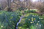 Copthorne Common WEST SUSSEX
