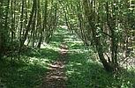 Copthorne Common WEST SUSSEX