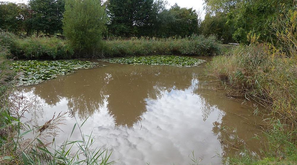 Property for Sale South Somercotes LINCOLNSHIRE Rural Scene