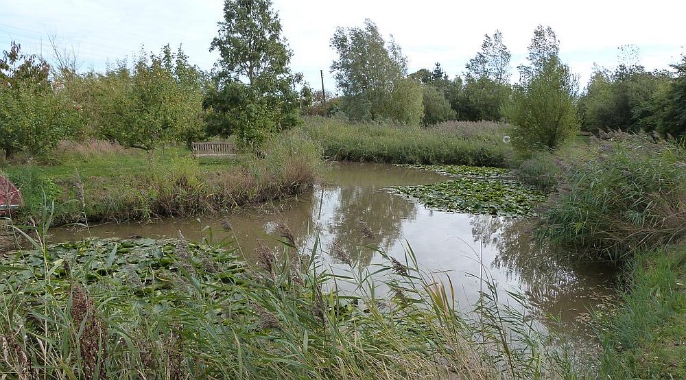 Property for Sale South Somercotes LINCOLNSHIRE Rural Scene